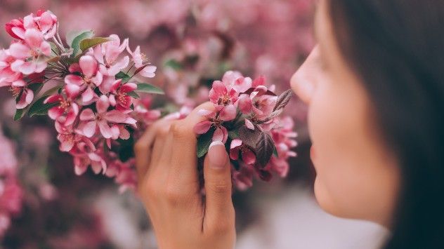 Parfume per femra gjate stines se pranveres dhe veres